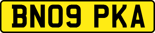 BN09PKA