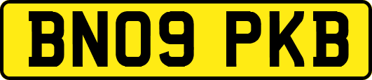 BN09PKB