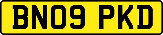 BN09PKD