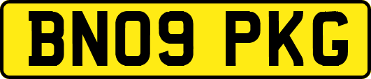BN09PKG