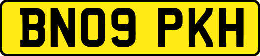 BN09PKH