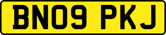 BN09PKJ