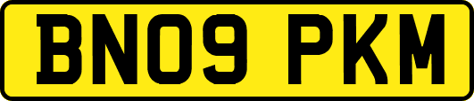 BN09PKM