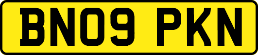 BN09PKN