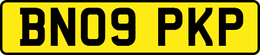 BN09PKP