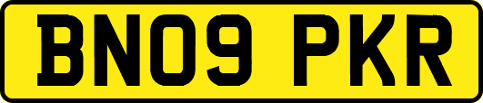 BN09PKR
