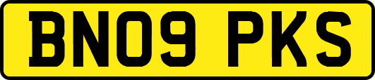 BN09PKS