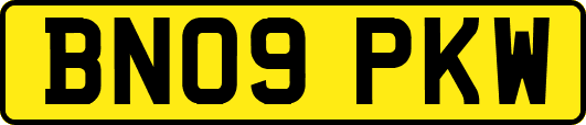 BN09PKW