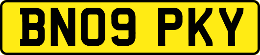 BN09PKY