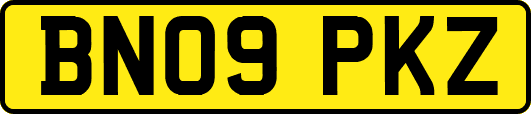 BN09PKZ