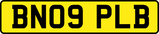 BN09PLB
