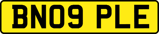 BN09PLE
