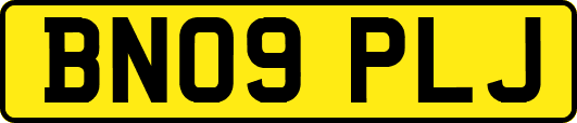 BN09PLJ