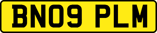 BN09PLM