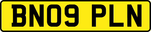 BN09PLN