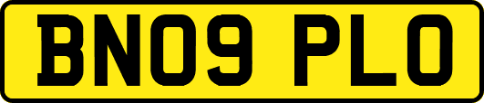 BN09PLO