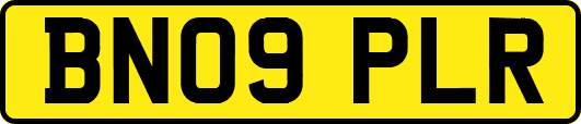 BN09PLR