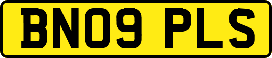 BN09PLS