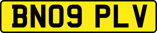 BN09PLV