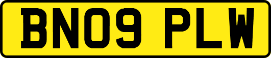 BN09PLW