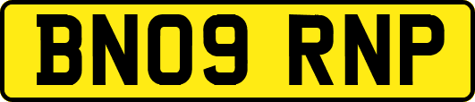 BN09RNP