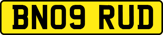 BN09RUD