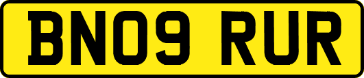 BN09RUR