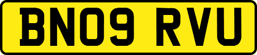 BN09RVU