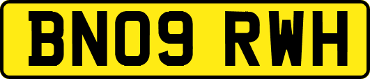 BN09RWH