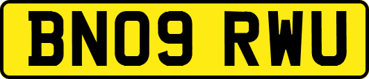 BN09RWU