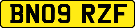BN09RZF