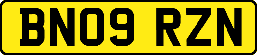 BN09RZN