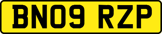 BN09RZP