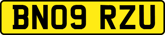 BN09RZU