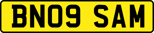 BN09SAM