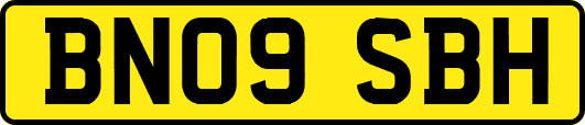 BN09SBH