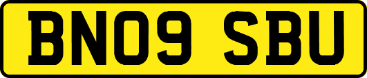BN09SBU