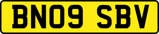 BN09SBV