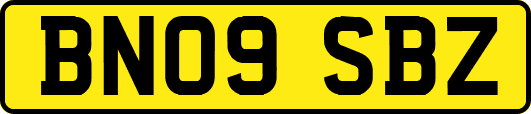 BN09SBZ
