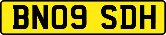BN09SDH