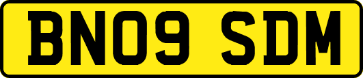 BN09SDM