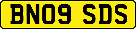 BN09SDS