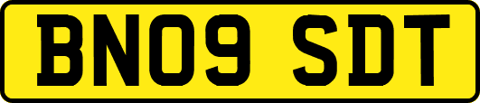 BN09SDT