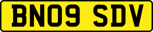 BN09SDV
