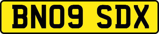 BN09SDX