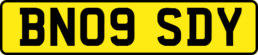 BN09SDY