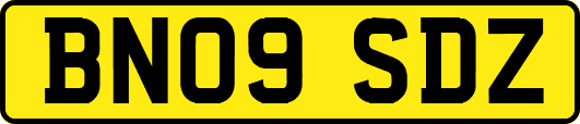 BN09SDZ