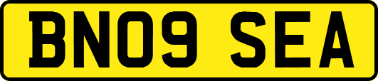 BN09SEA