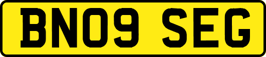 BN09SEG