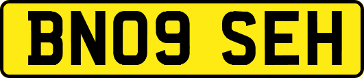 BN09SEH